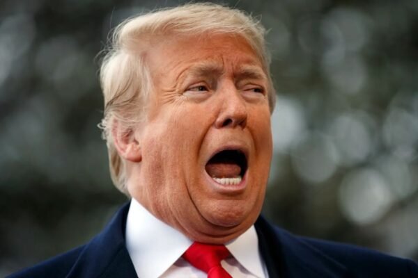 Trump Faces New Criticism as No Kings Movement Expands