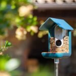 Bird Buddy 2 Mini Review: Everything You Need to Know Before Buying